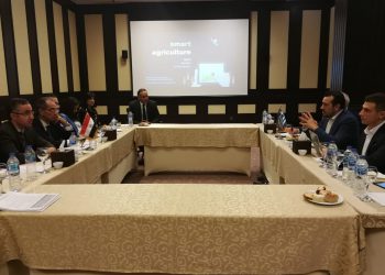 Επίσκεψη του Υπουργού ΨΗΠΤΕ, Ν. Παππά στην Αίγυπτο