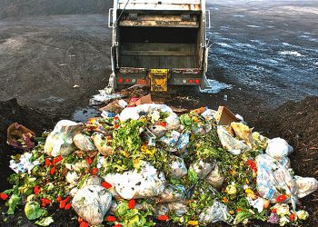 «Τα τρόφιμα δεν περισσεύουν…»