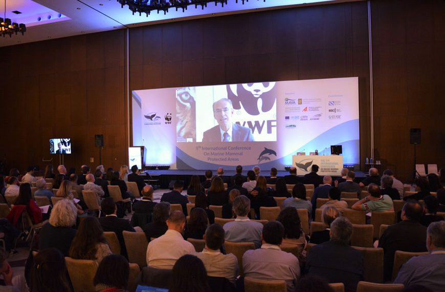 Η προστασία των θαλάσσιων θηλαστικών στην Ελλάδα βρέθηκε στο επίκεντρο της παγκόσμιας επιστημονικής κοινότητας