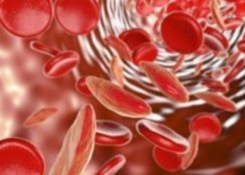 Κίνα: Επιστήμονες εμφύτευσαν ανθρώπινο γονίδιο στον εγκέφαλο πιθήκων για να μελετήσουν τη νοημοσύνη στον άνθρωπο