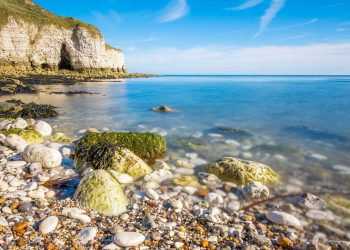 Μάνος Δανέζης: Ήθελα να ήμουνα…