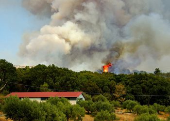 Κίνδυνος πυρκαγιάς για την Κυριακή 30 Ιουνίου 2019