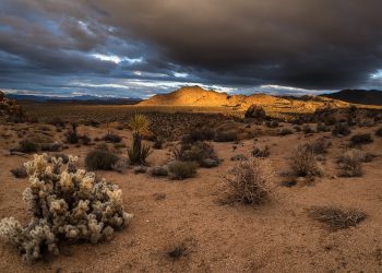 Προειδοποίηση: Με «ερημοποίηση» κινδυνεύει το ένα τρίτο των εδαφών της Ελλάδας