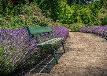 Ένας υπερτοπικός πόλος πρασίνου, αναψυχής και αθλητισμού στη Νίκαια