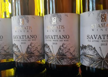 Ένα ταξίδι στον Αττικό αμπελώνα…