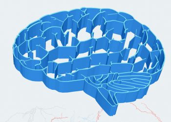 28ο συνέδριο της Ελληνικής Εταιρείας για τις Νευροεπιστήμες