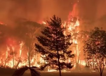 «Πεθαίνει» το περιβάλλον στην Αυστραλία: Εκτός ελέγχου οι πυρκαγιές – Αδειάζουν ολόκληρες πόλεις