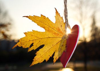 Φ. Βουδαντά: Αυτές τις κρίσιμες μέρες είναι στο χέρι μας να νιώσουμε την αγάπη!