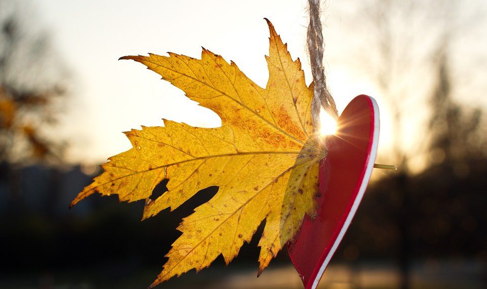 Φ. Βουδαντά: Αυτές τις κρίσιμες μέρες είναι στο χέρι μας να νιώσουμε την αγάπη!