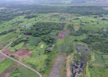 Στο φως το αρχαιότερο και μεγαλύτερο μνημείο των Μάγια