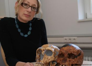 Στην Ελληνίδα καθηγήτρια Κ. Χαρβάτη το κορυφαίο γερμανικό βραβείο έρευνας