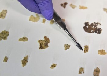 Βρέθηκαν νέα αποσπάσματα των Χειρογράφων της Μαύρης Θάλασσας στα ελληνικά