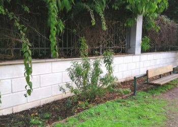 Στη μάχη κατά της μουτζούρας η Αθήνα 