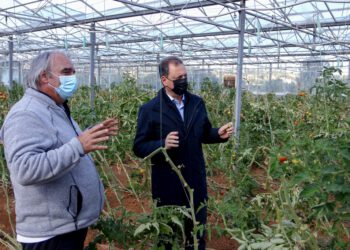 Πάνω από 400 εκατ. ευρώ για τις Βιολογικές Καλλιέργειες στην Ελλάδα