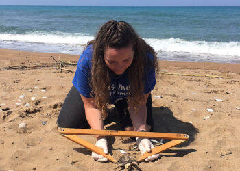 Περισσότερες από 700 οι νεκρές θαλάσσιες χελώνες το 2020 στην Ελλάδα