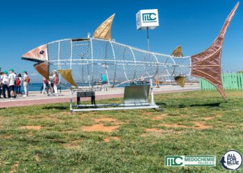 Σάββας, ο «καρχαρίας» που τρώει πλαστικά στον Άλιμο