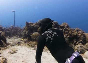 Η Αλόννησος στους σημαντικότερους μεσογειακούς προορισμούς κατάδυσης