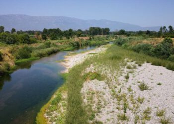 «SOS» εκπέμπει ο Πηνειός ποταμός – Μειώθηκε σημαντικά η στάθμη