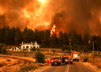 Στηρίζουν τους πυρόπληκτους οι ομογενείς της Νότιας Αμερικής