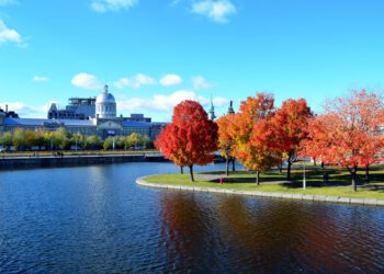 Ομογενείς του Μόντρεαλ μαζεύουν χρήματα για τους πυρόπληκτους
