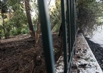 Νέα απόπειρα εμπρησμού στο Πεδίον του Άρεως – Συνελήφθη ο δράστης