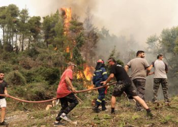Τραγικός απολογισμός στην Εύβοια – Στάχτη το 1/3 των δασών