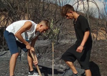 Χρήματα για αναδασώσεις συγκεντρώνουν οι Δήμοι στην Ελλάδα
