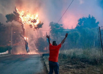 Η Ομογένεια των ΗΠΑ στο πλευρό των πυρόπληκτων