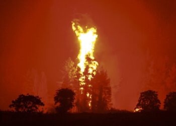 Αύξηση 26% των πυρκαγιών και 450% της καμένης έκτασης στην Ελλάδα