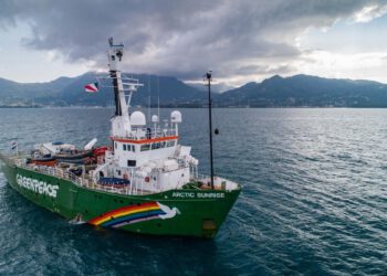 Η Greenpeace καταγράφει θαλάσσια κήτη στην Κρήτη