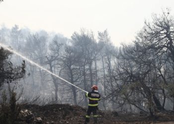 Κάηκε το 16% των δασών της Αττικής