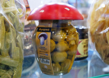 Ξεχώρισε το Γρεβενιώτικο Μανιτάρι στην έκθεση «Philoxenia»