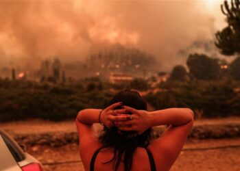 Ξεκίνησε η διανομή του 1 εκατ. που συγκέντρωσαν οι Ομογενείς των ΗΠΑ