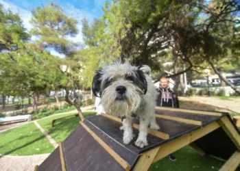Δύο πάρκα αποκλειστικά για σκύλους στην Αθήνα